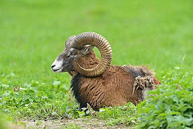 经典游戏《幻想水浒传1&2 高清复刻合集》开场动画公布 2025年3月6日发售