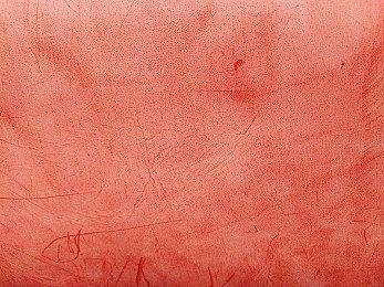 日本7月销量月榜：Switch终身销量达3千万台 《皮克敏4》登顶